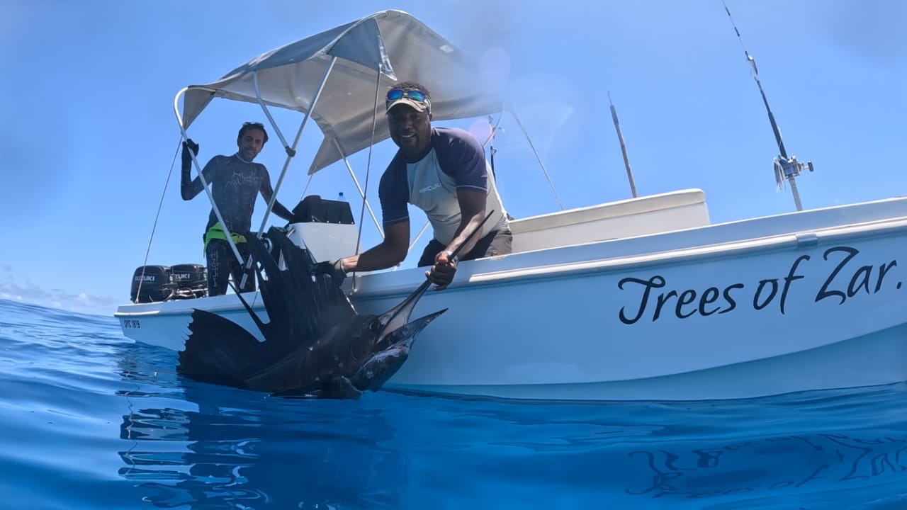 Zar Fish Trees of ZAR - Zanzibar Sport Fishing & Island Tours